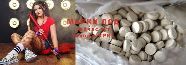 индика Абаза