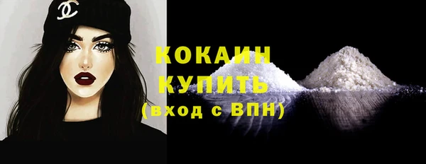 индика Абаза