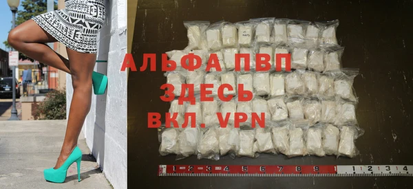 индика Абаза