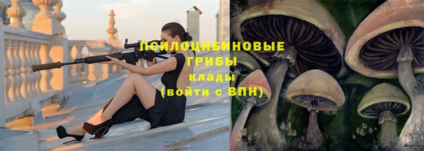 индика Абаза