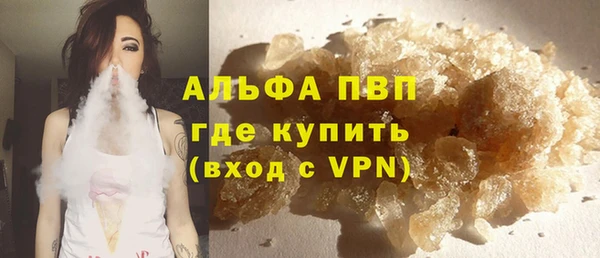 индика Абаза